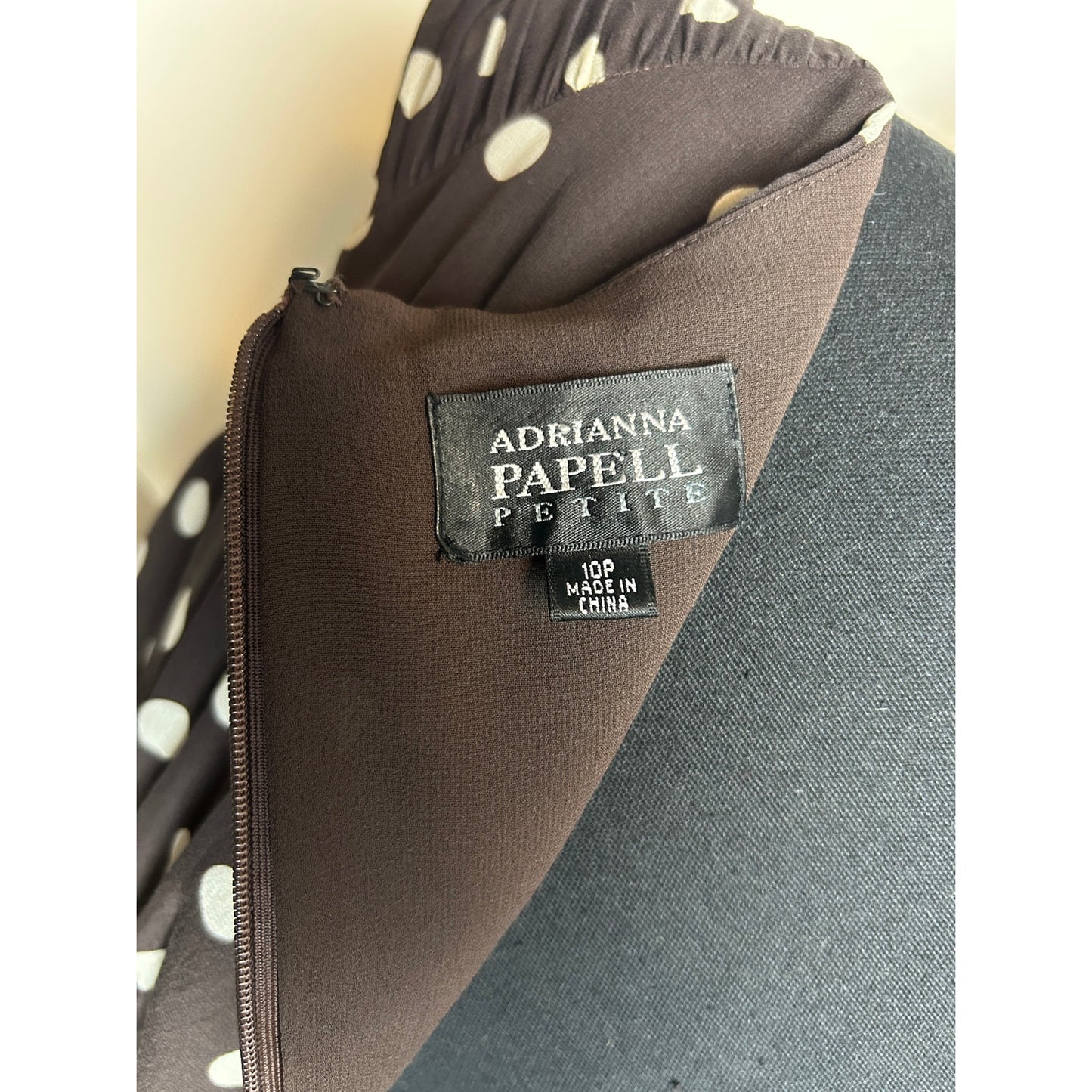 Robe Adrianna Papell 100 % Soie Western à Pois 10P Marron Chocolat Longueur Midi